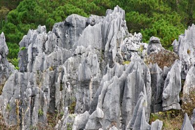 Sagada Cliffs.jpg