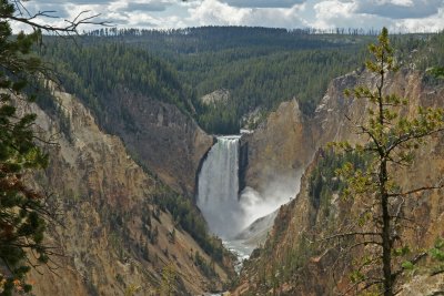 Lower Falls Yellowstone.jpg