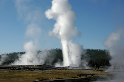 Old Faithful Erupting.jpg