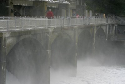 Floodgates