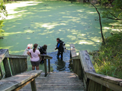 Manatee Springs State Park