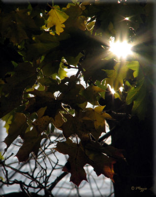 g1/94/555694/3/106253837.PexicNJ4.jpg