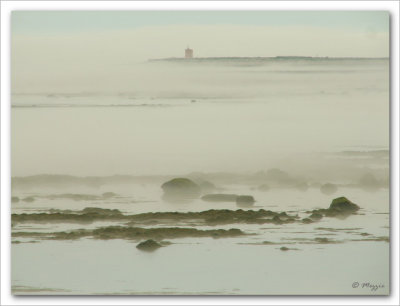 brouillard sur la baie