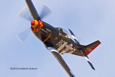 _MG_8946.jpg