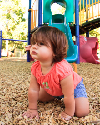 LF5A2357_web.jpg