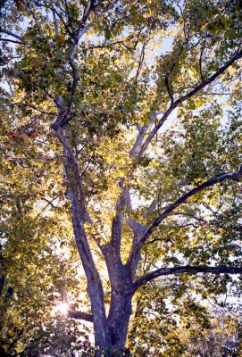 20101101_020_web.jpg