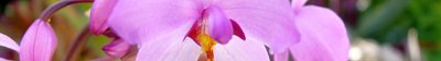 g1/94/575794/3/107197782.36dQNn0u.jpg
