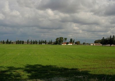 PC-0006.jpg