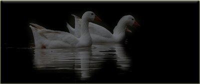 IMG_1400.JPG