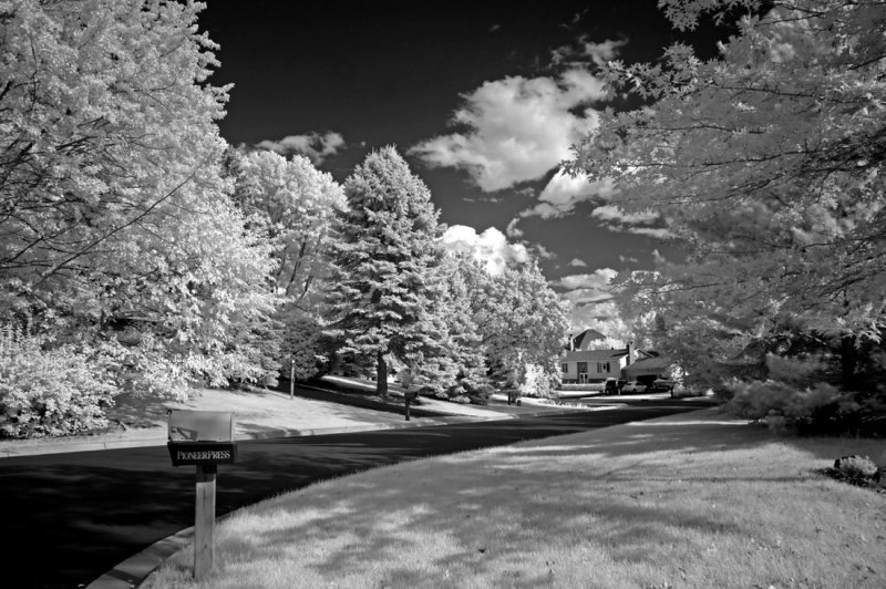 Down the Street 0219.jpg