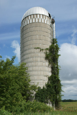 Silo Level With Rise 2559.jpg