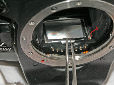 Fresnel Spring Removal 0012.jpg