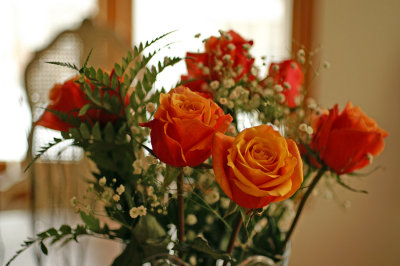 Roses 8415.jpg