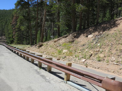 along US 50 just west of the summit of Monarch Pass