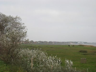Westerveld