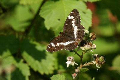 g1/94/622494/3/114630730.lEir4q1S.jpg