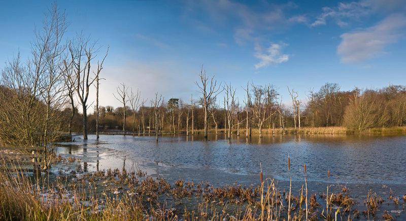 Arcot-hall-Pano5.jpg