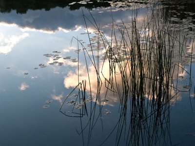 Mendon Pond Reflection
