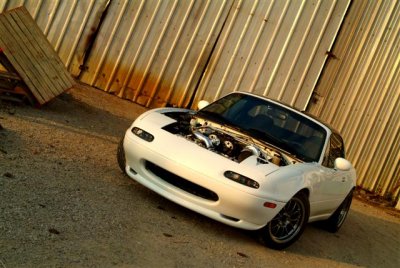 4 (Small).jpg