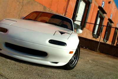 445 (Small).jpg