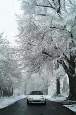 SnowMiata3 (Small).jpg
