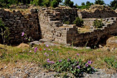 Flowers grow on three-thousand year old walls in Troy-.jpg