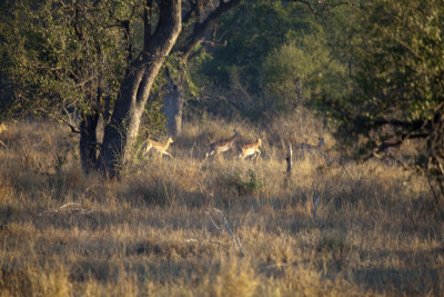 DF082309.jpg