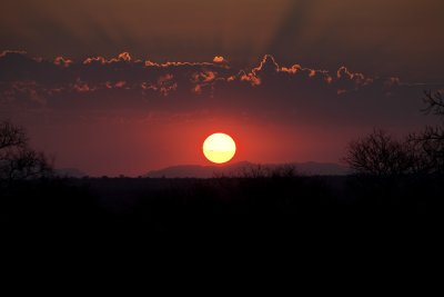 IMG_6541.jpg
