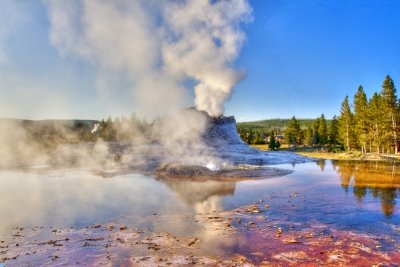 Geyser - Yellowstone National Park