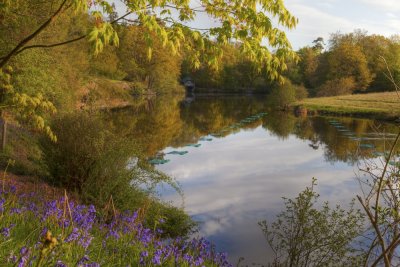 Winkworth in Spring