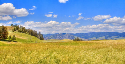 Yellowstone National Park - USA