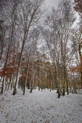 Tilgate Park