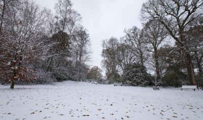 IMG_0683a.jpg