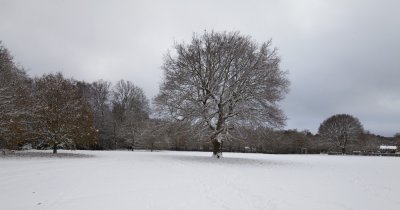 IMG_0548a.jpg