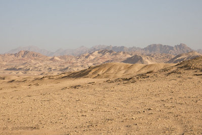 Landscape -Sinai