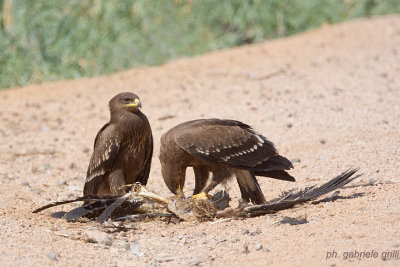 g1/94/741294/3/105347653.xdhUwvcU.jpg