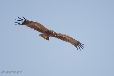 g1/94/741294/3/105351967.uDlqi76R.jpg