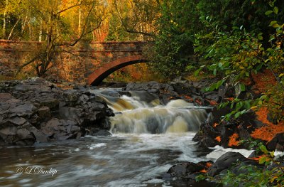 13 - Amity Creek Bridge, Autumn Morning
