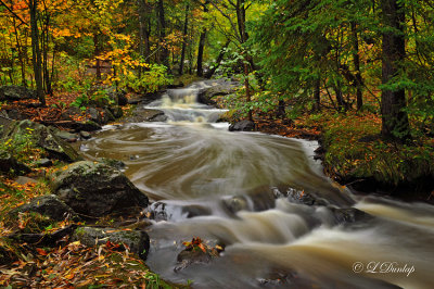 4.5 - Tischer Creek, Autumn