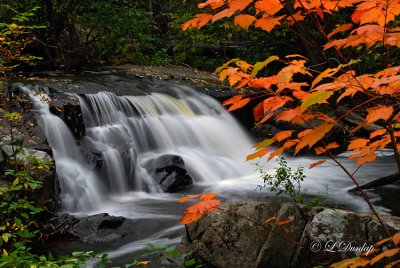 4.4 - Tischer Creek Cascade,  Autumn Maple