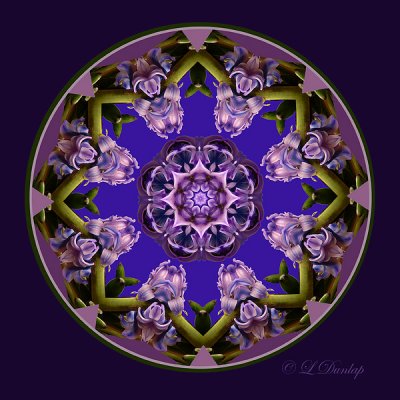 Hyacinth Kaleidoscope, Matted Circle