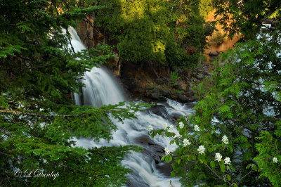 23.5 - Gooseberry: Upper Falls With Spring Blossoms