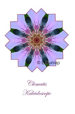 7 - Clematis Kaleidoscope Card