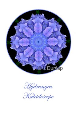 11 - Hydrangea Kaleidoscope Card