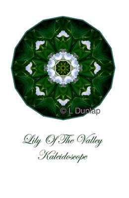 13 - Lily Of The Valley Kaleidoscope Card
