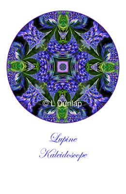 16 - Lupine Kaleidoscope Card