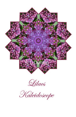 18 - Lilacs Kaleidoscope Card