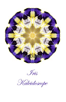 21 - Iris Kaleidoscope Card