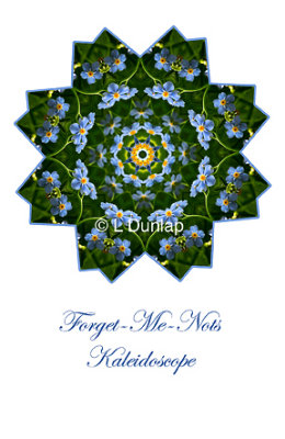 22 - Forget-Me-Not Kaleidoscope Card