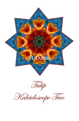 26 - Tulip Kaleidoscope Card